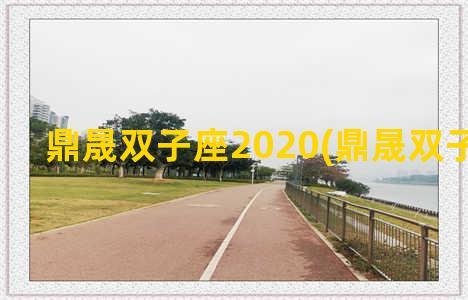 鼎晟双子座2020(鼎晟双子座产权)
